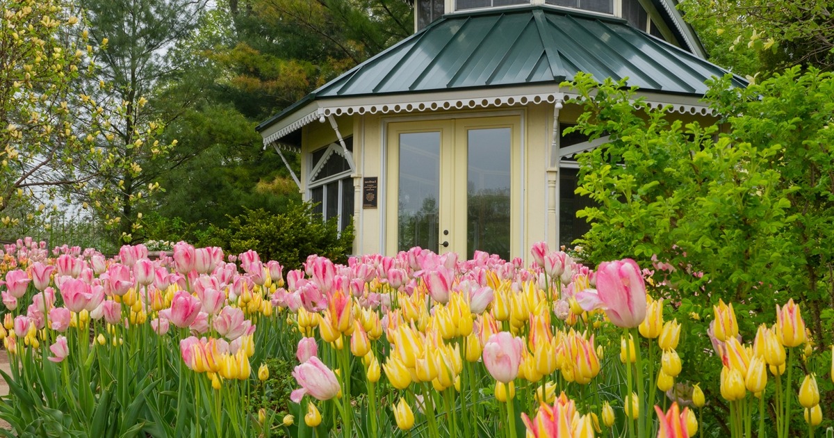 Year-Round-Wonders-At-Green-Bay-Botanical-Garden year-round-wonders-at-green-bay-botanical-garden