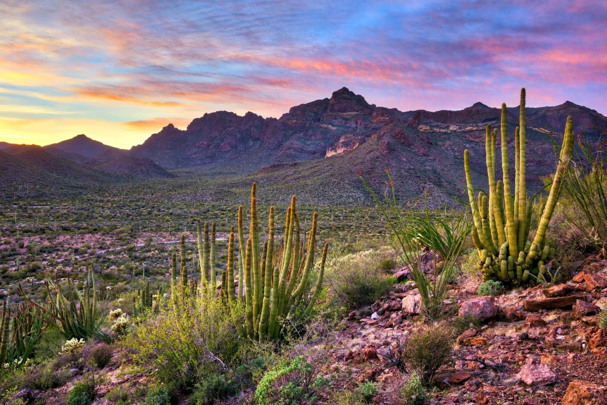 10-hidden-towns-in-arizonas-sonoran-desert