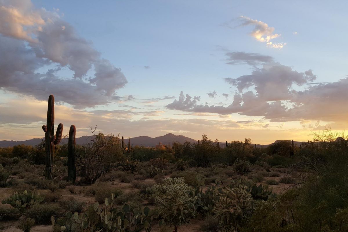 20-Hidden-Gems-In-Phoenix-You-Must-See 20-hidden-gems-in-phoenix-you-must-see