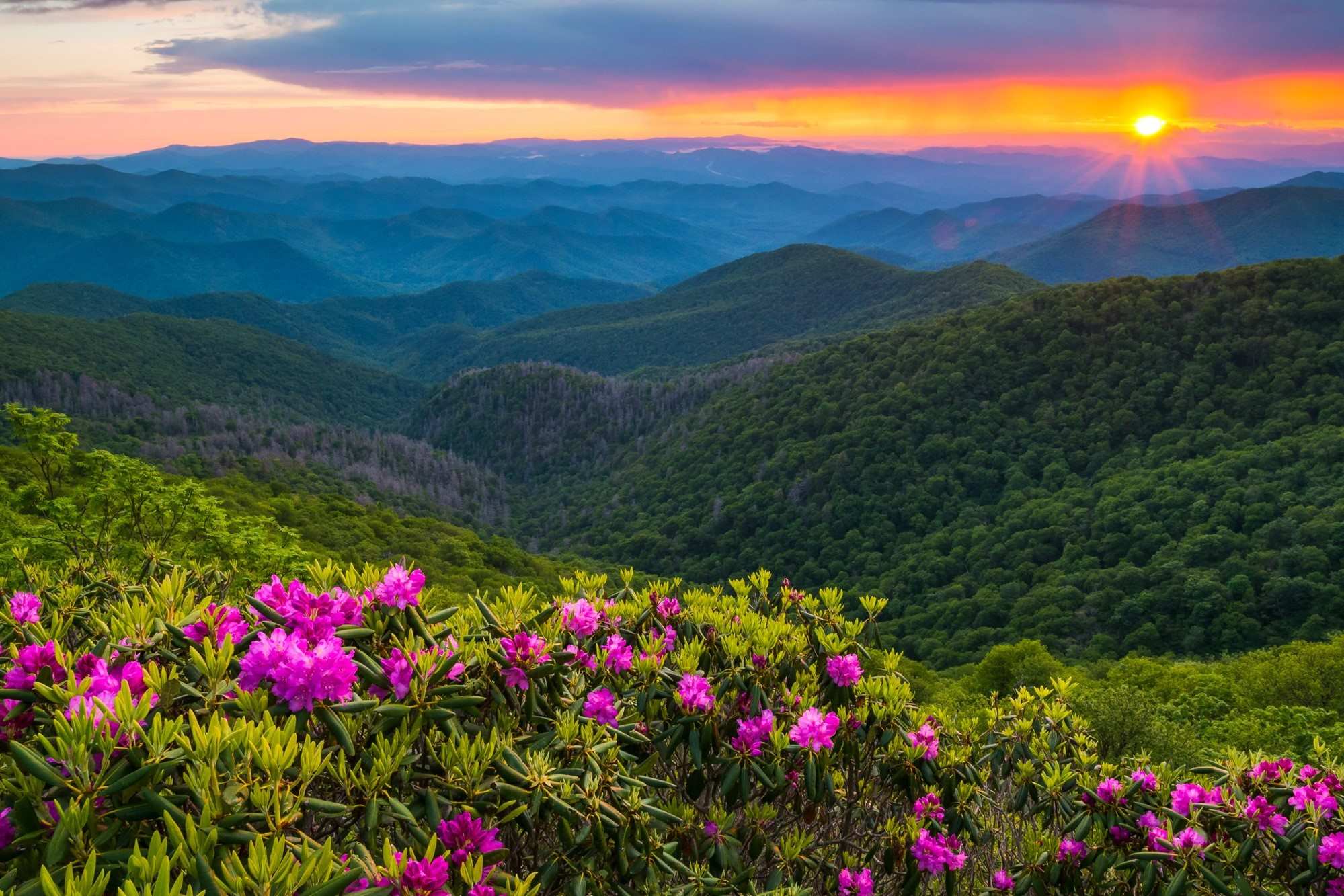 30-hidden-gems-in-lumberton