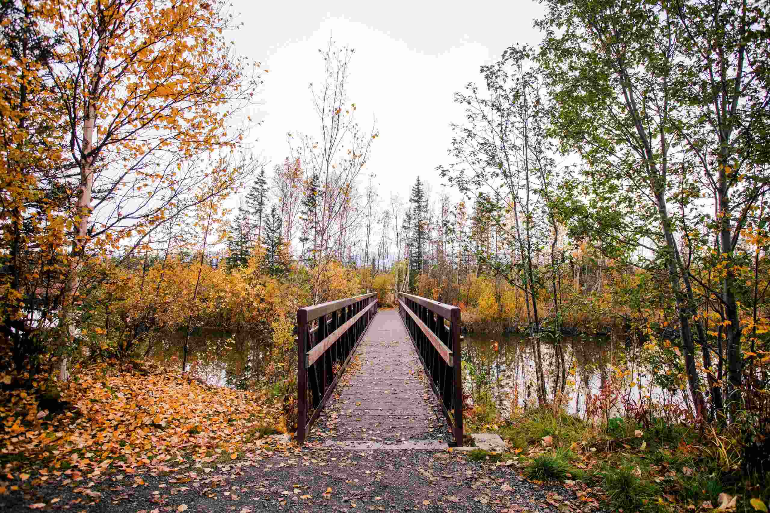 35-Hidden-Gems-In-Anchorage 35-hidden-gems-in-anchorage