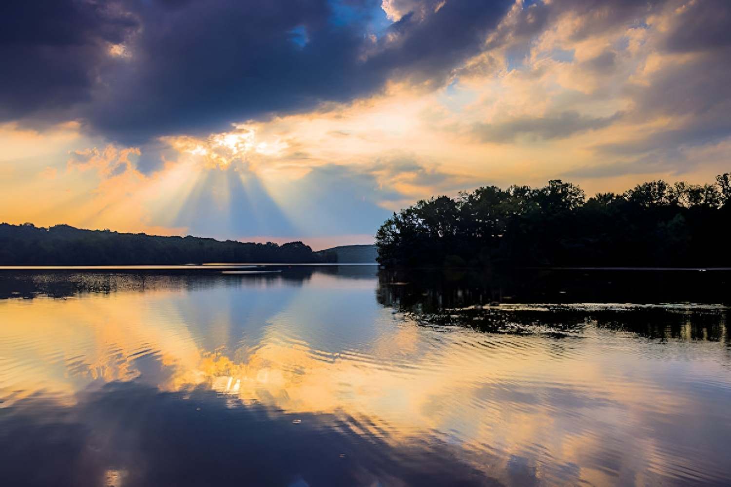 adventure-awaits-at-lewisberrys-gifford-pinchot-state-park