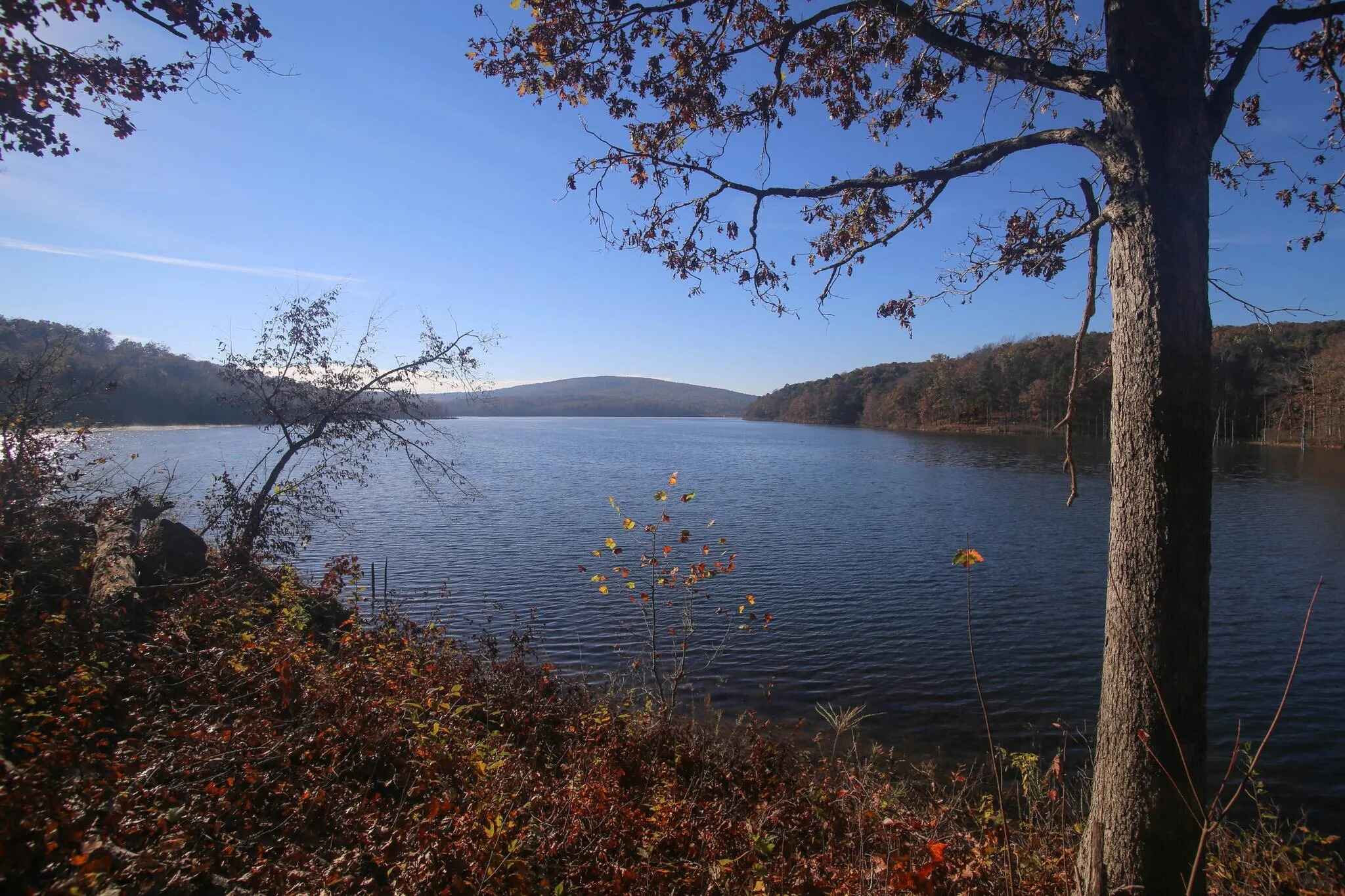 Adventures-Await-At-Mark-Twain-Lake-State-Park adventures-await-at-mark-twain-lake-state-park