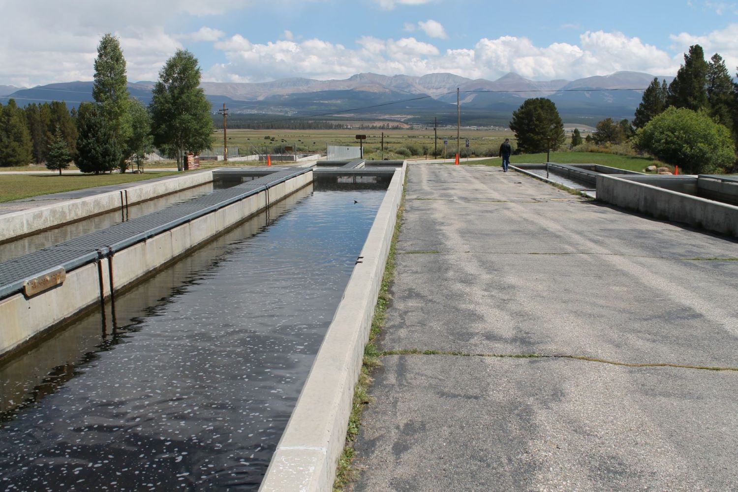 Alpine Angling Adventures At Leadville Fish Hatchery TouristSecrets