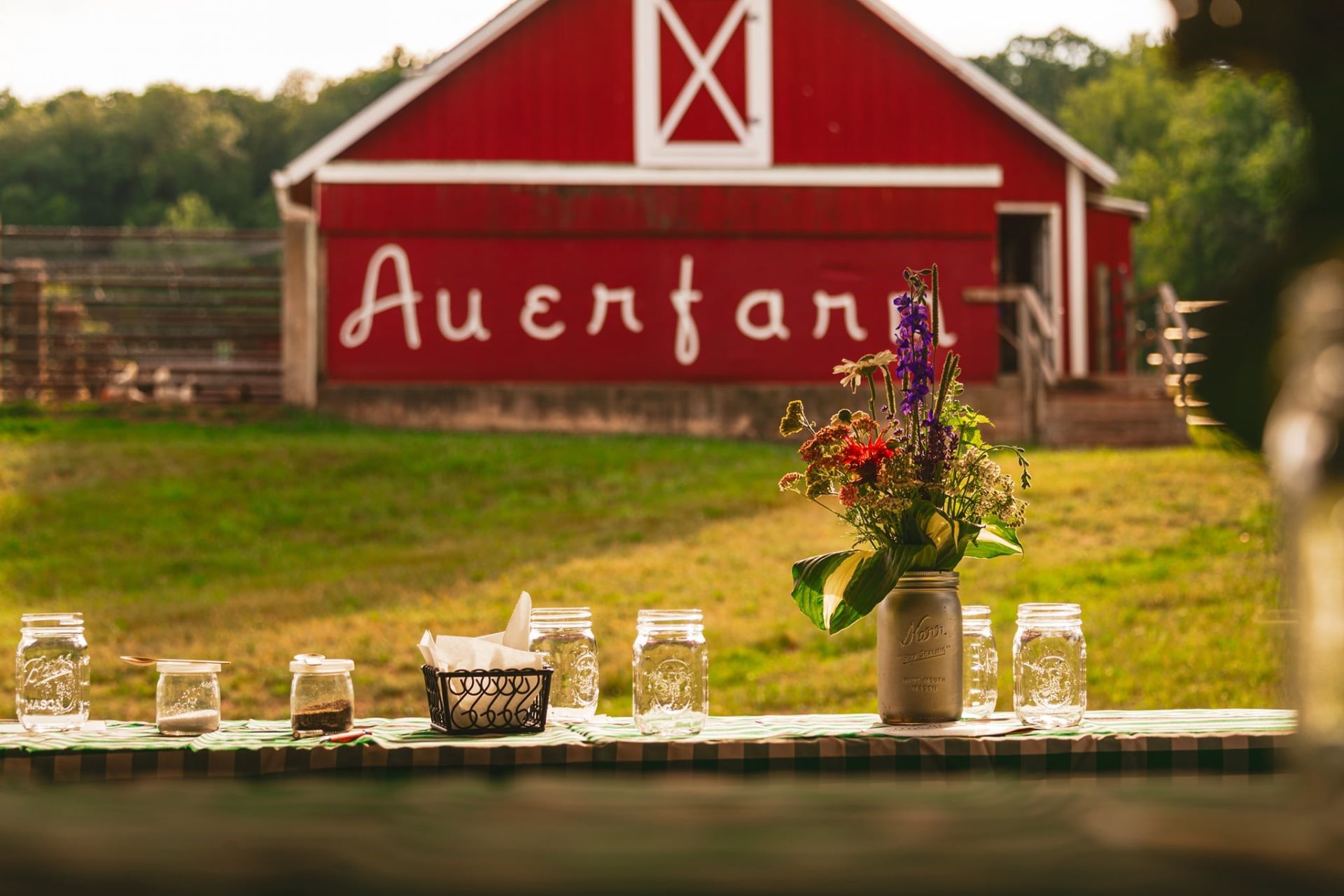 auerfarm-adventure-awaits-in-bloomfield