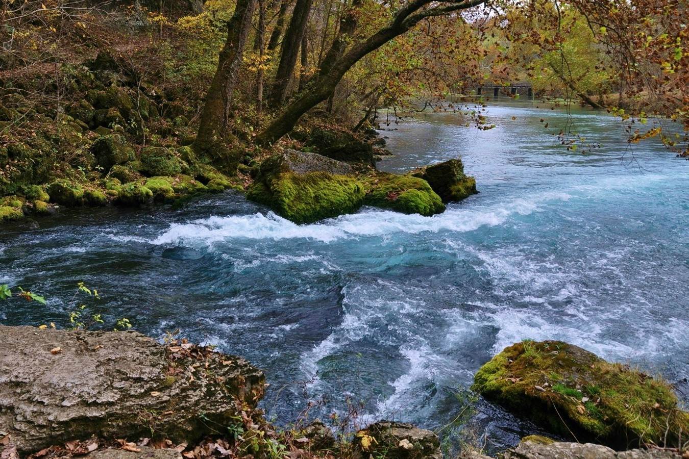 big-spring-natures-hidden-gem-in-the-ozarks