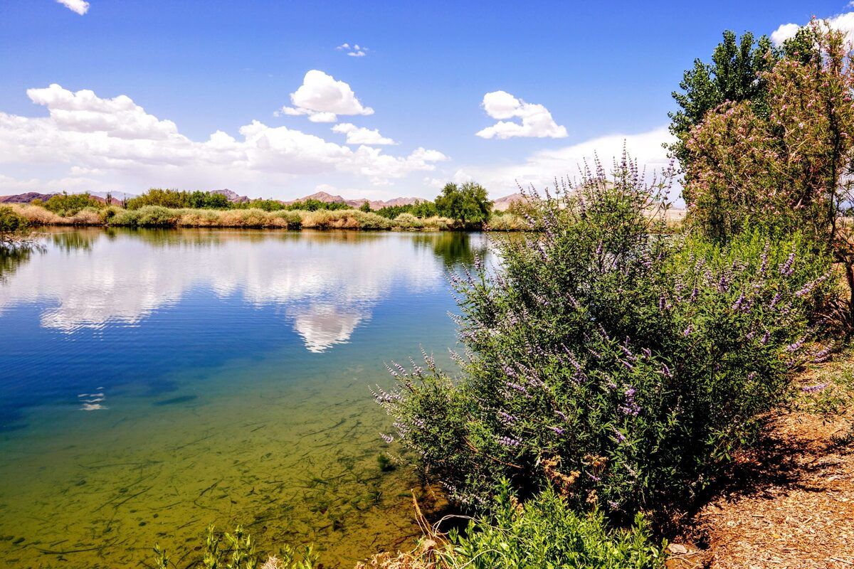 birdwatching-bliss-at-henderson-preserve