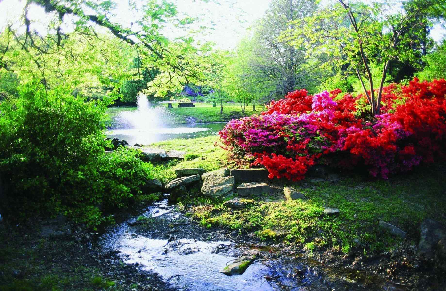 blossom-bliss-at-muskogees-honor-heights-park