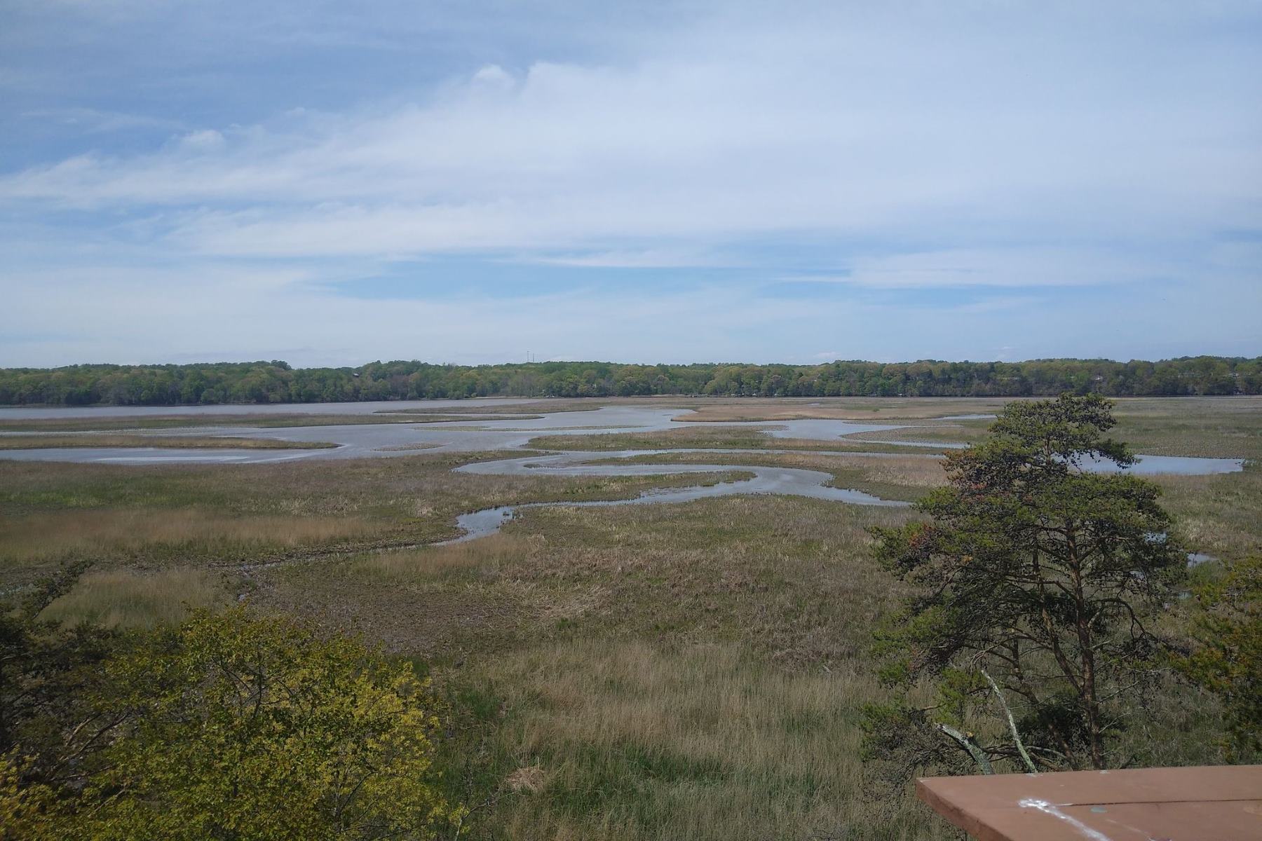 breathtaking-views-at-merkle-wildlife-tower