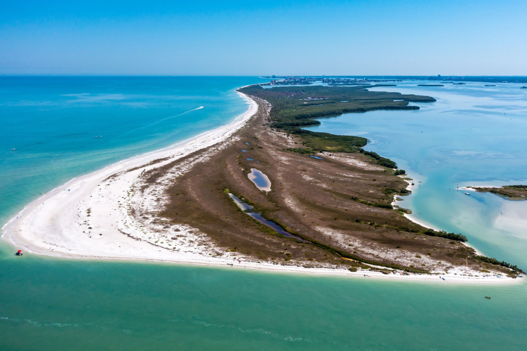 caladesi-island-state-parks-untouched-paradise-awaits