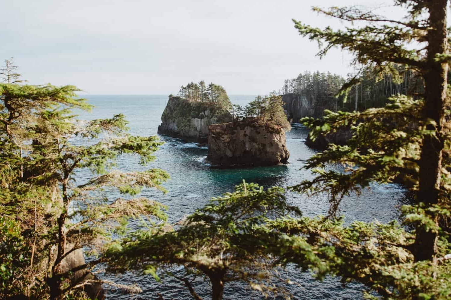 cape-flatterys-breathtaking-coastal-adventure