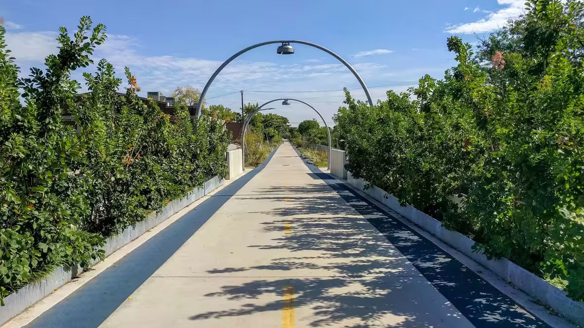 Chicago8217s-Thrilling-Elevated-Greenway-Adventure chicagos-thrilling-elevated-greenway-adventure