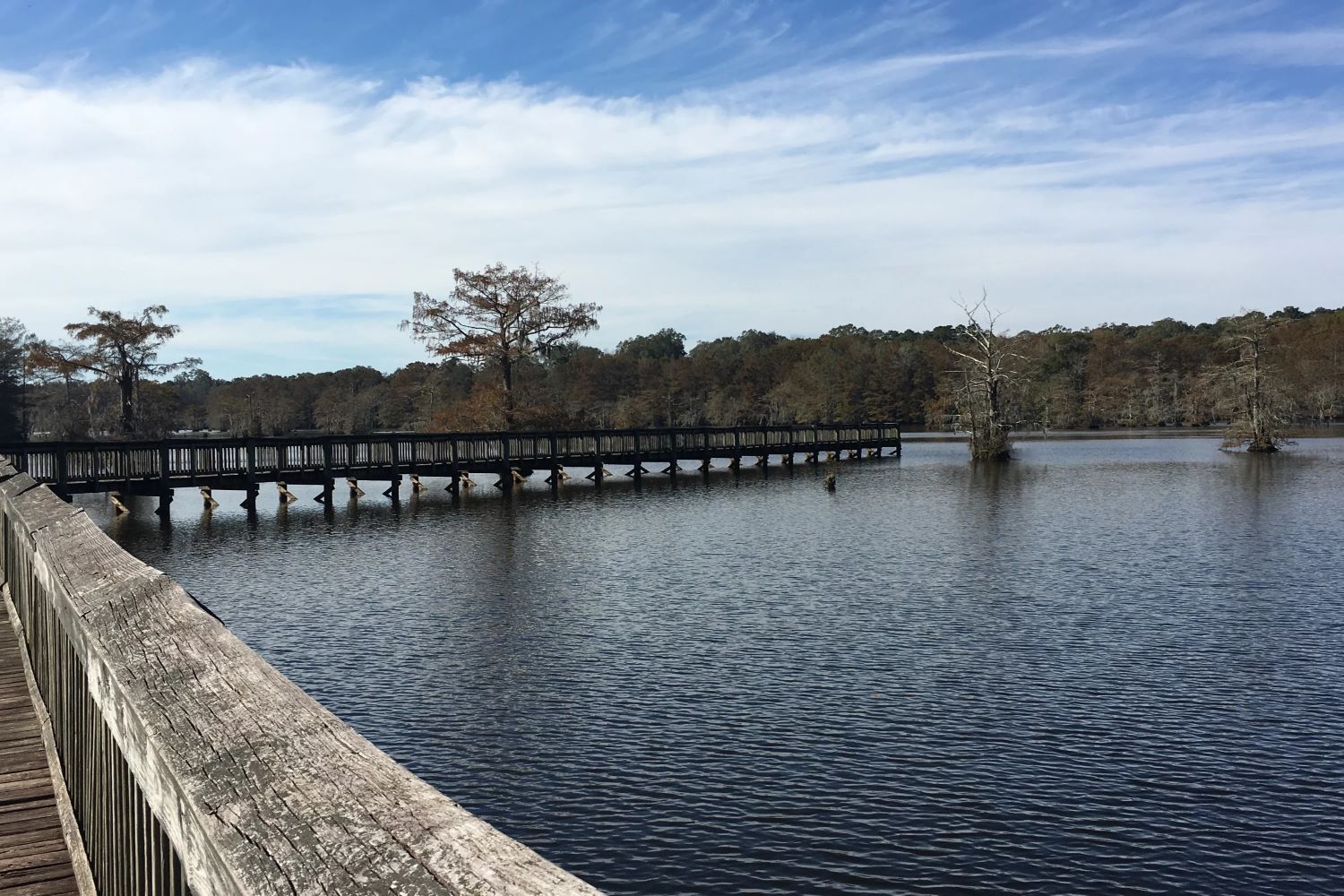 Chicot-State-Park8217s-Ultimate-Hiking-And-Fishing-Escape chicot-state-parks-ultimate-hiking-and-fishing-escape