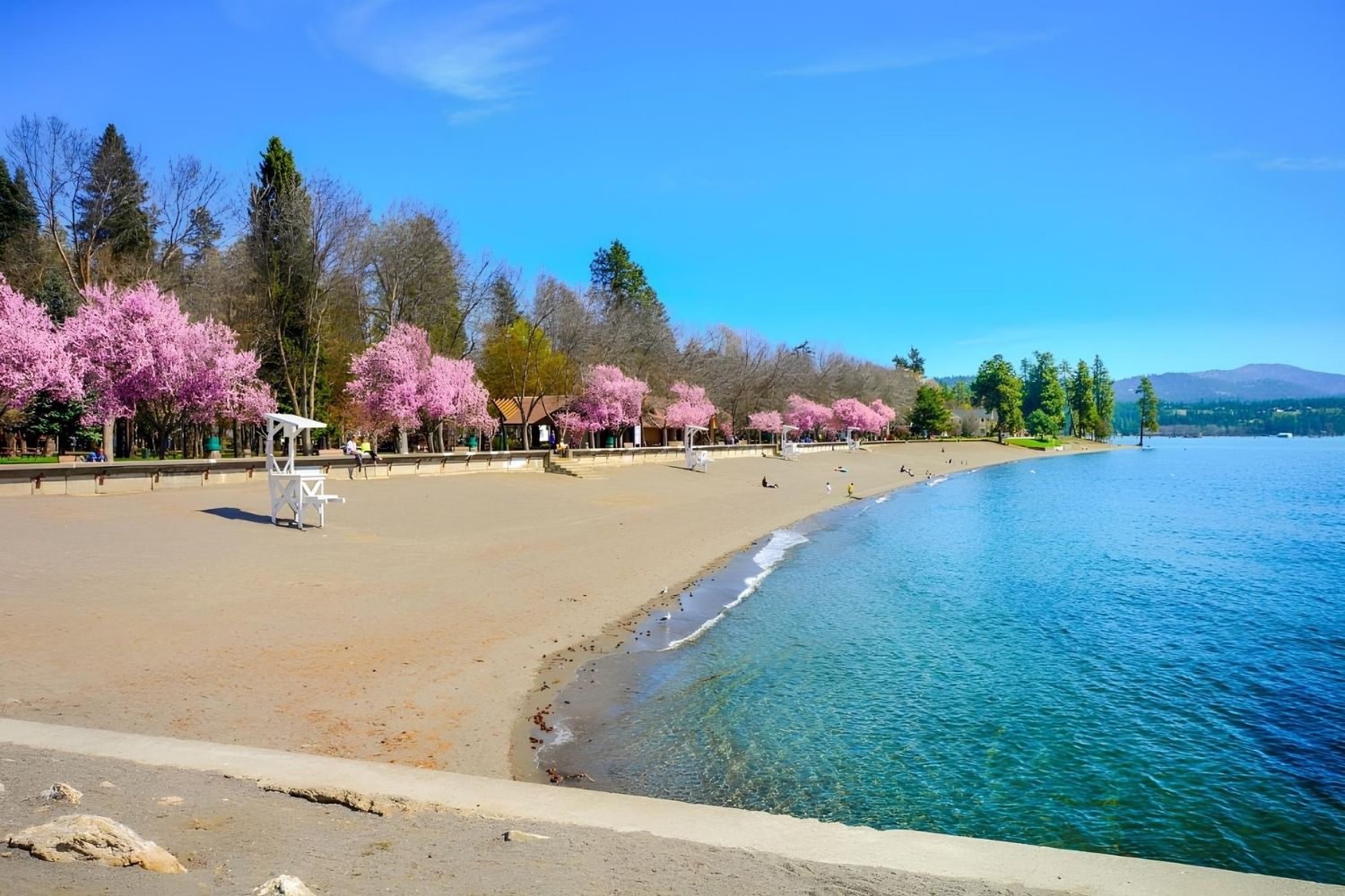 Coeur-D8217Alene8217s-Ultimate-Park-And-Beach-Adventure coeur-dalenes-ultimate-park-and-beach-adventure