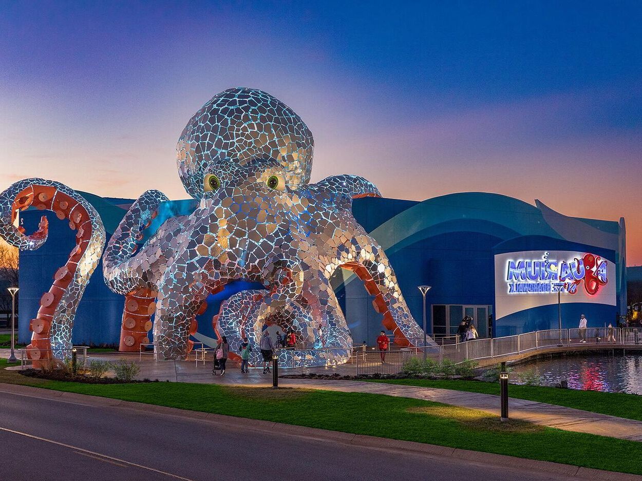 dive-into-adventure-at-kansas-citys-sea-life-aquarium