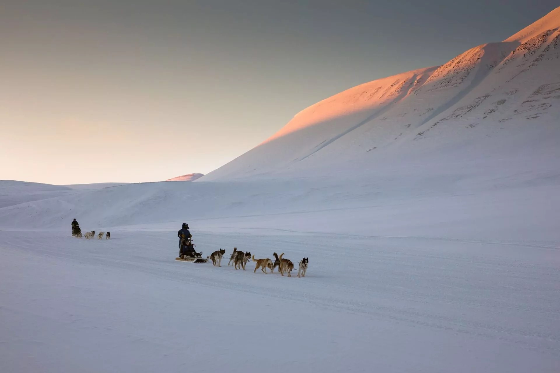Dog-Sledding-Adventure-In-Longyearbyen-Svalbard dog-sledding-adventure-in-longyearbyen-svalbard