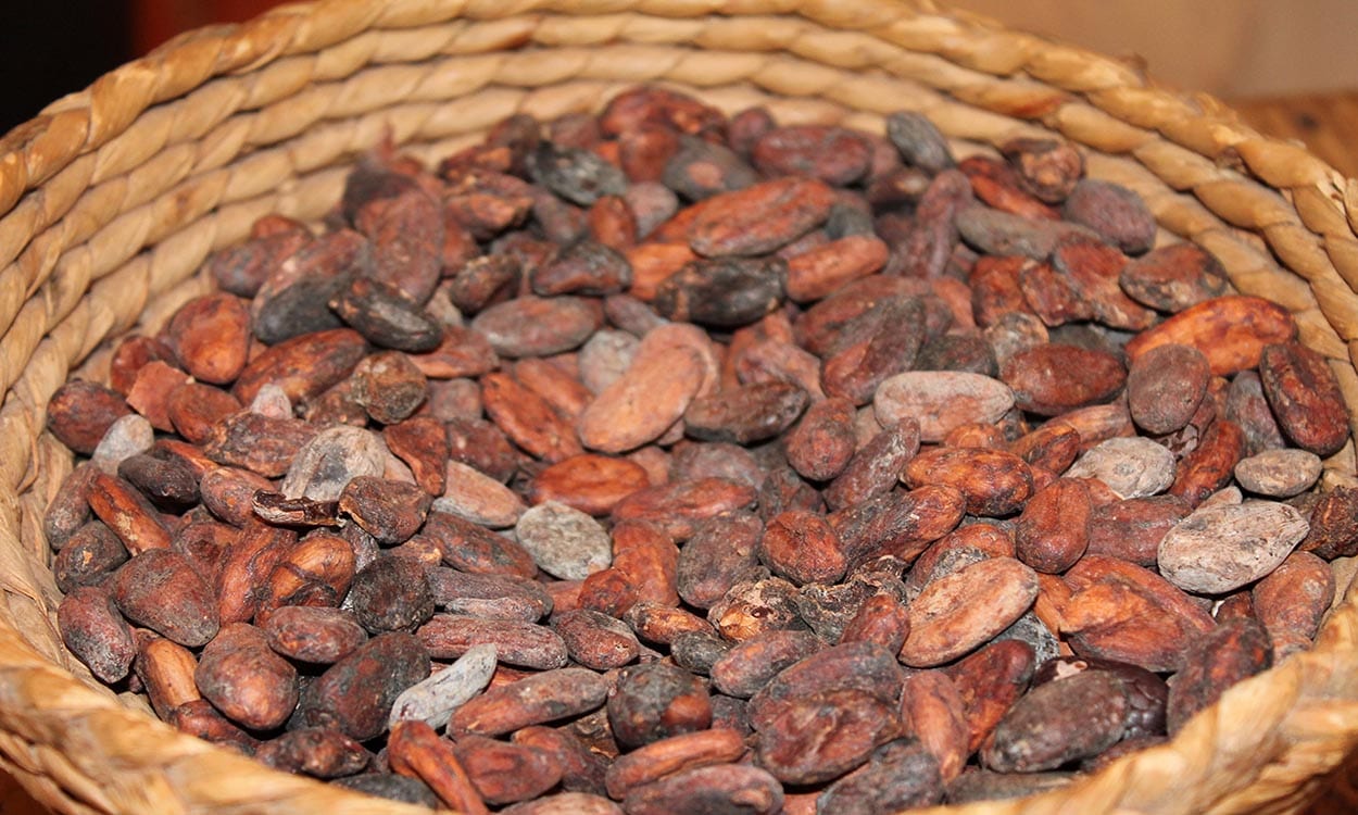 Ecuador8217s-Hidden-Chocolate-Journey ecuadors-hidden-chocolate-journey