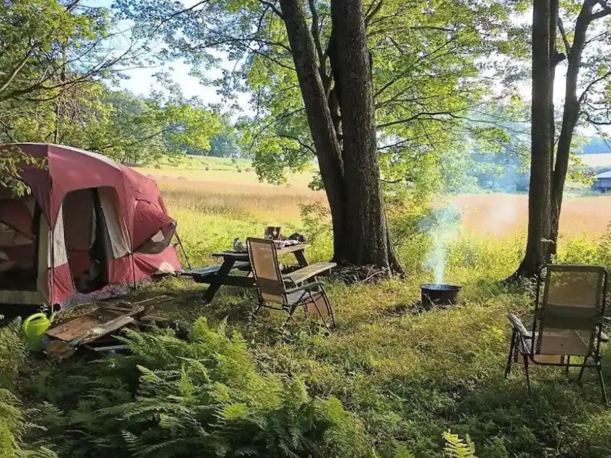 enchanting-adventures-in-kettle-creek-valley