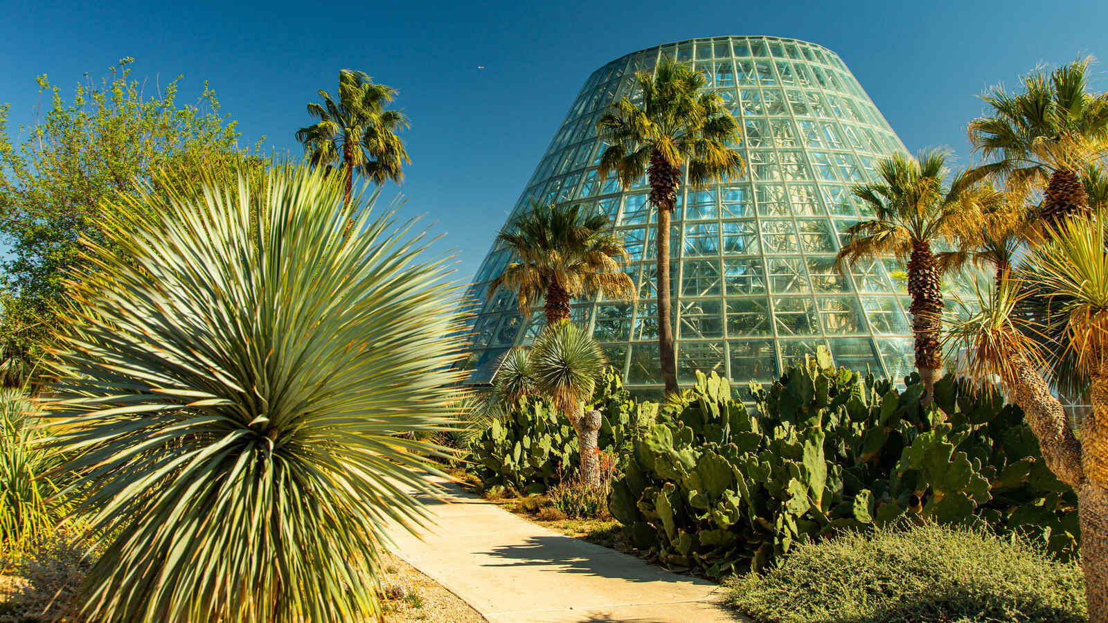 Enchanting-Beauty-At-San-Antonio-Botanical-Garden enchanting-beauty-at-san-antonio-botanical-garden