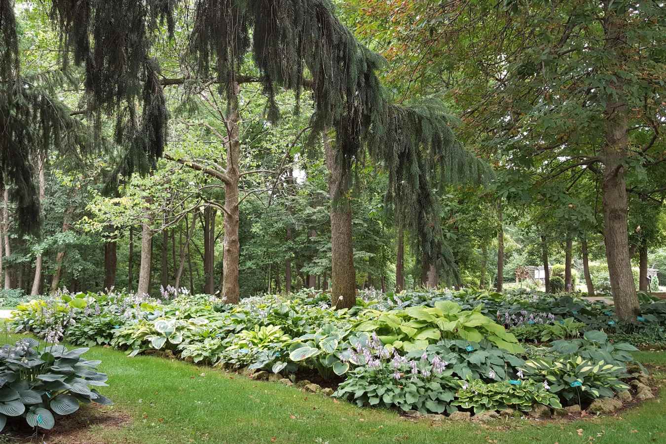 enchanting-beauty-of-dubuques-volunteer-gardens
