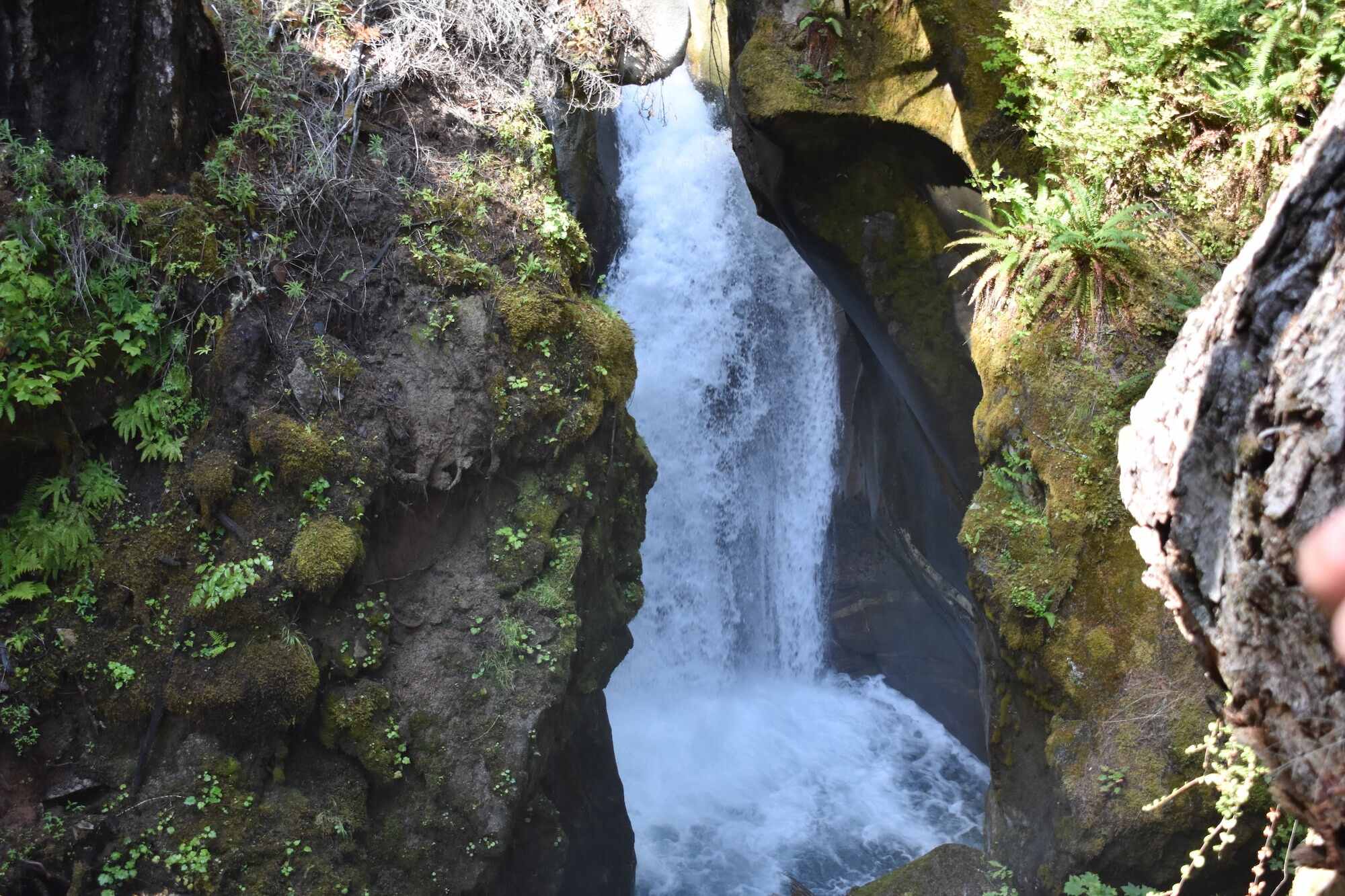 enchanting-beauty-of-ladder-creek-falls-in-north-cascades