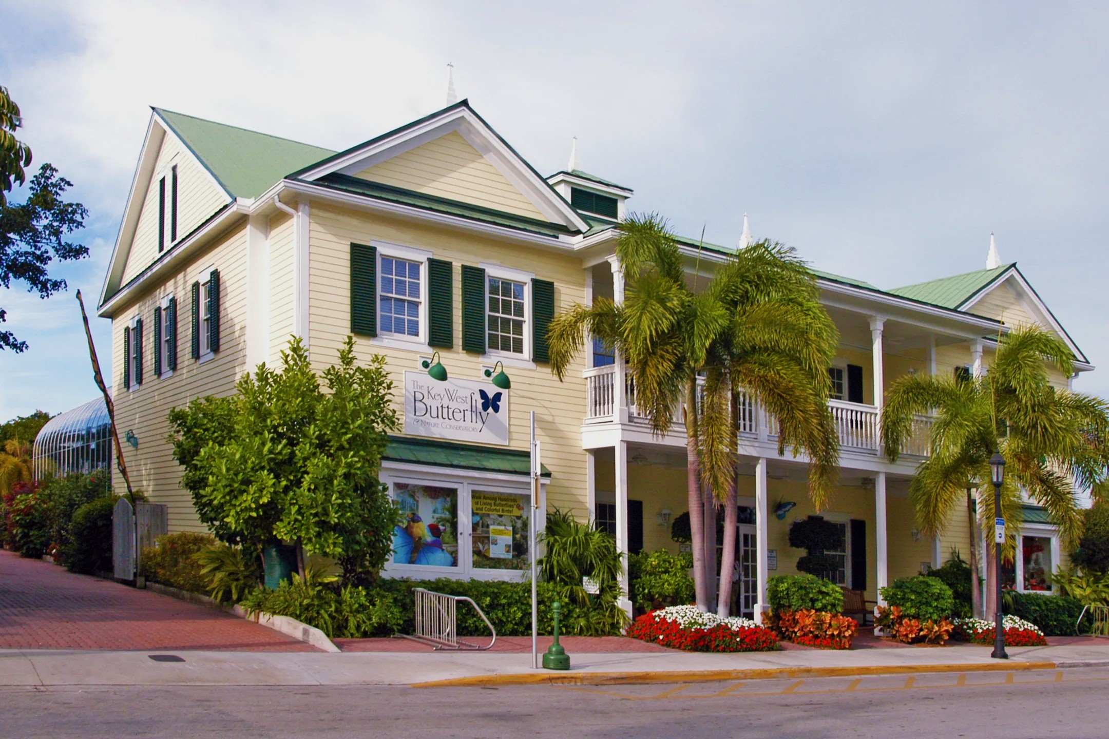 Enchanting-Butterflies-Await-In-Key-West enchanting-butterflies-await-in-key-west