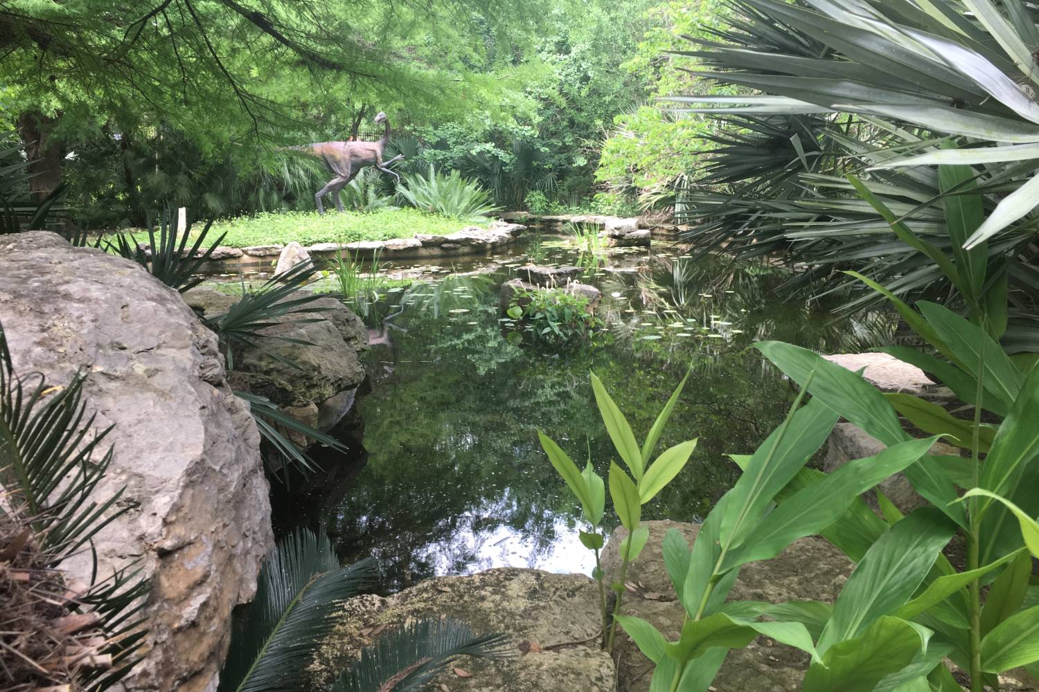Enchanting-Wonders-Of-Austin8217s-Zilker-Botanical-Garden enchanting-wonders-of-austins-zilker-botanical-garden