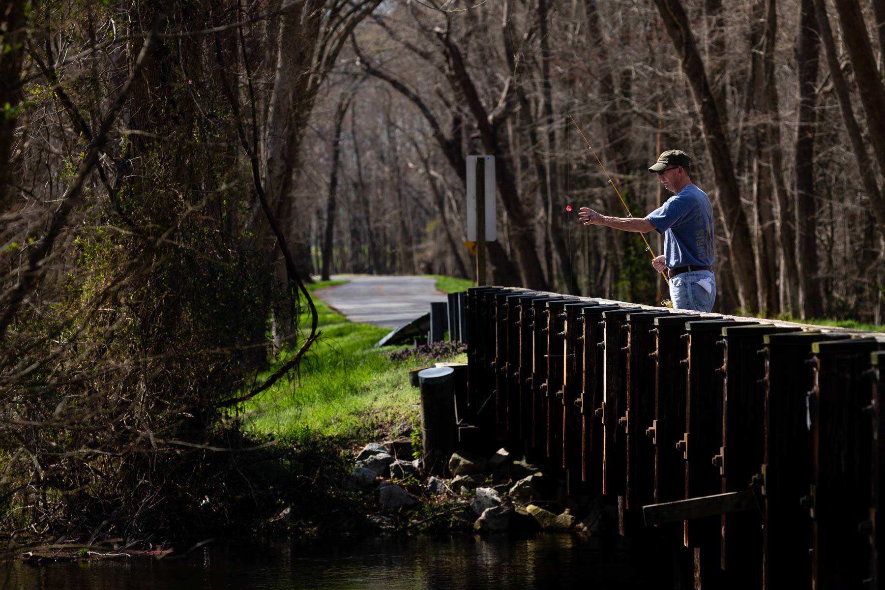 Enchanting-Wonders-Of-Pocomoke-River8217s-Cypress-Swamp enchanting-wonders-of-pocomoke-rivers-cypress-swamp