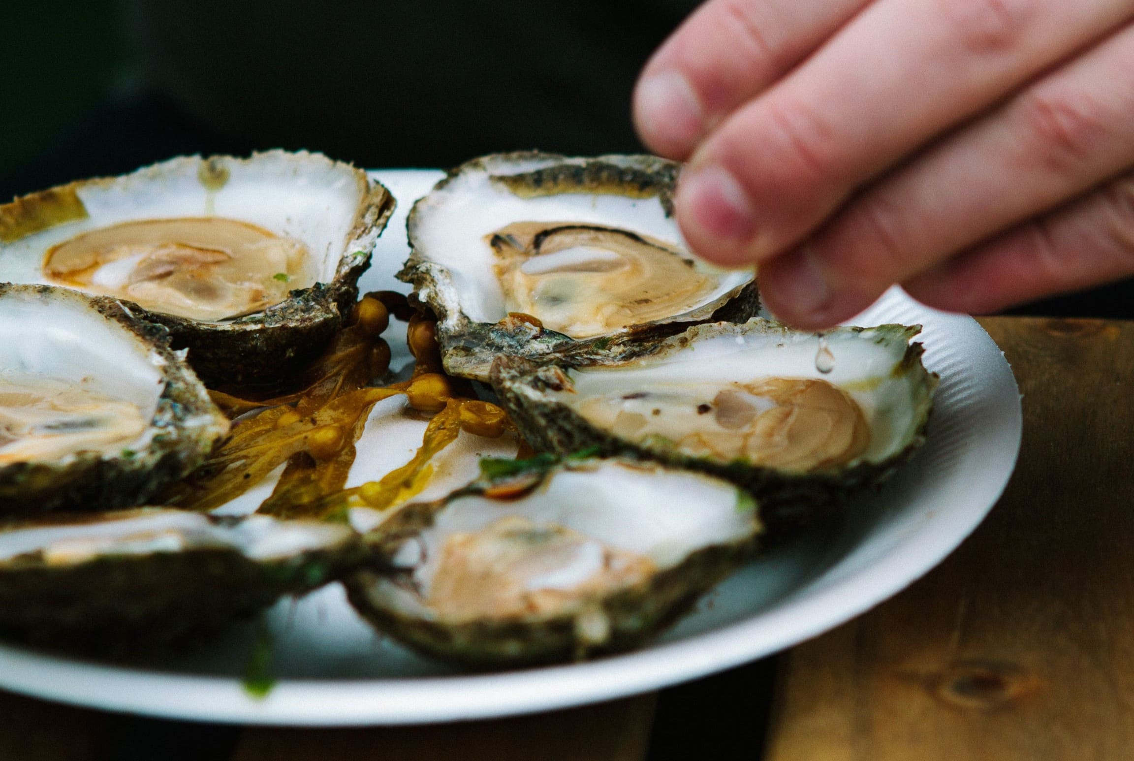 galways-hidden-oyster-bar-adventure