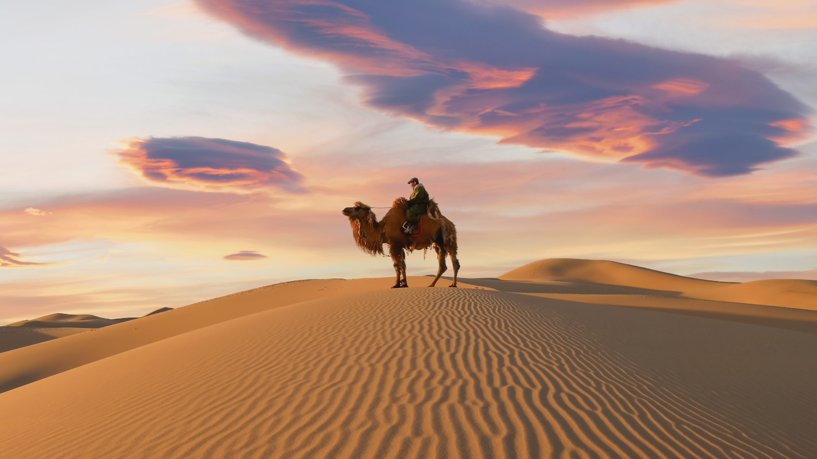 Gobi-Desert-Mongolia-Camel-Adventure gobi-desert-mongolia-camel-adventure