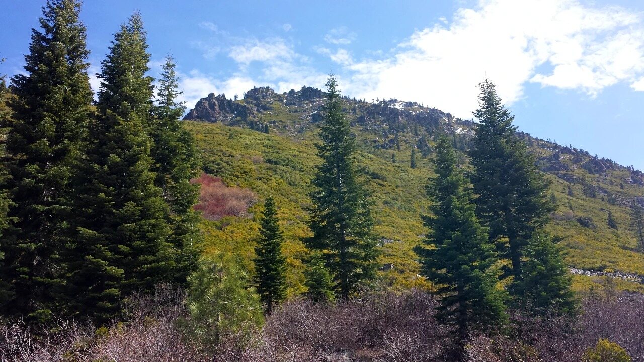 gold-rush-adventures-at-plumas-eureka-state-park