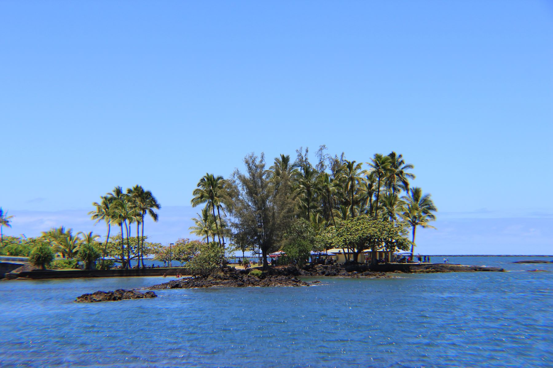 hawaiis-enchanting-coconut-island-marine-wonders