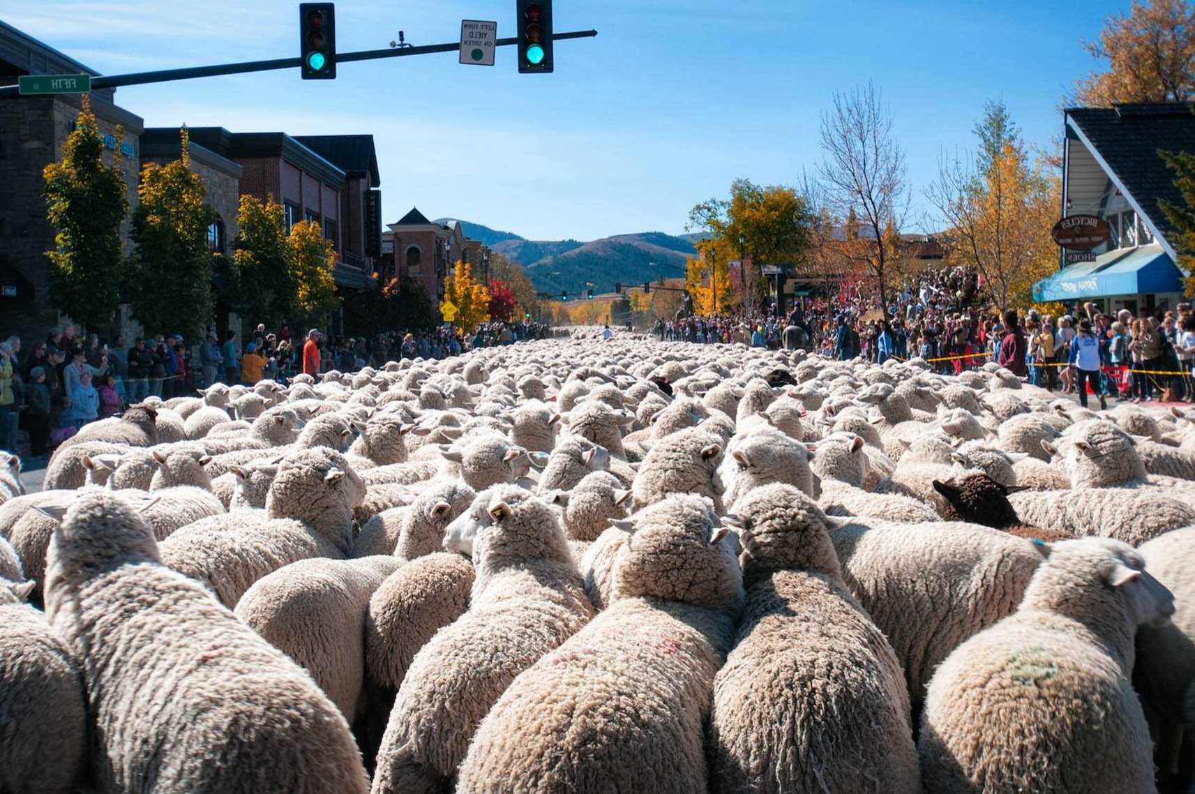 Hidden-Basque-Sheepherding-Camps-In-Oregon hidden-basque-sheepherding-camps-in-oregon