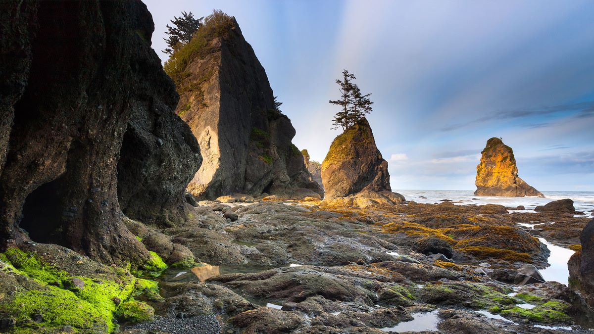 Hidden-Fogbow-Arches-In-Washington8217s-Olympic-National-Park hidden-fogbow-arches-in-washingtons-olympic-national-park