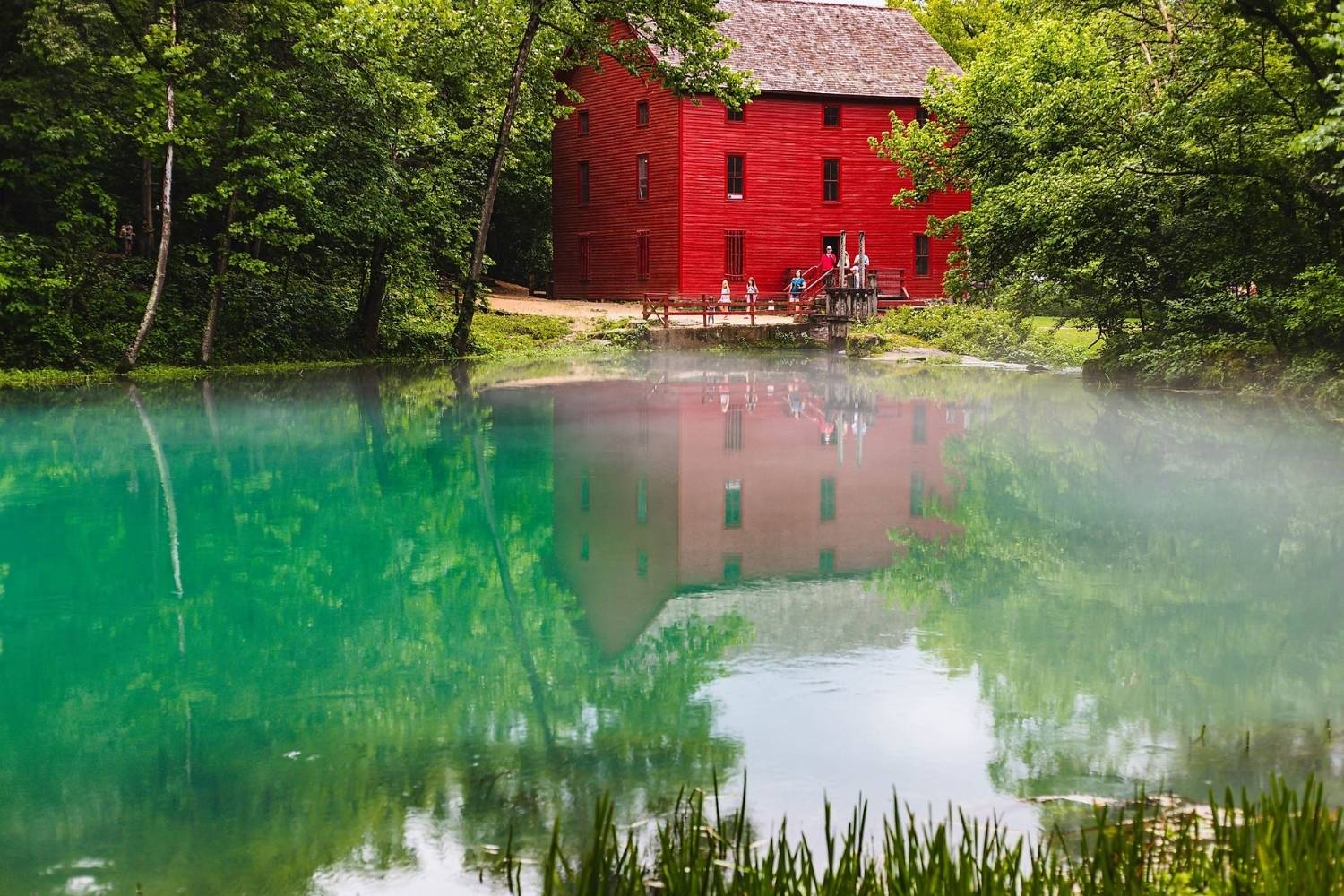 hidden-gem-of-ozark-alley-spring-adventure-awaits