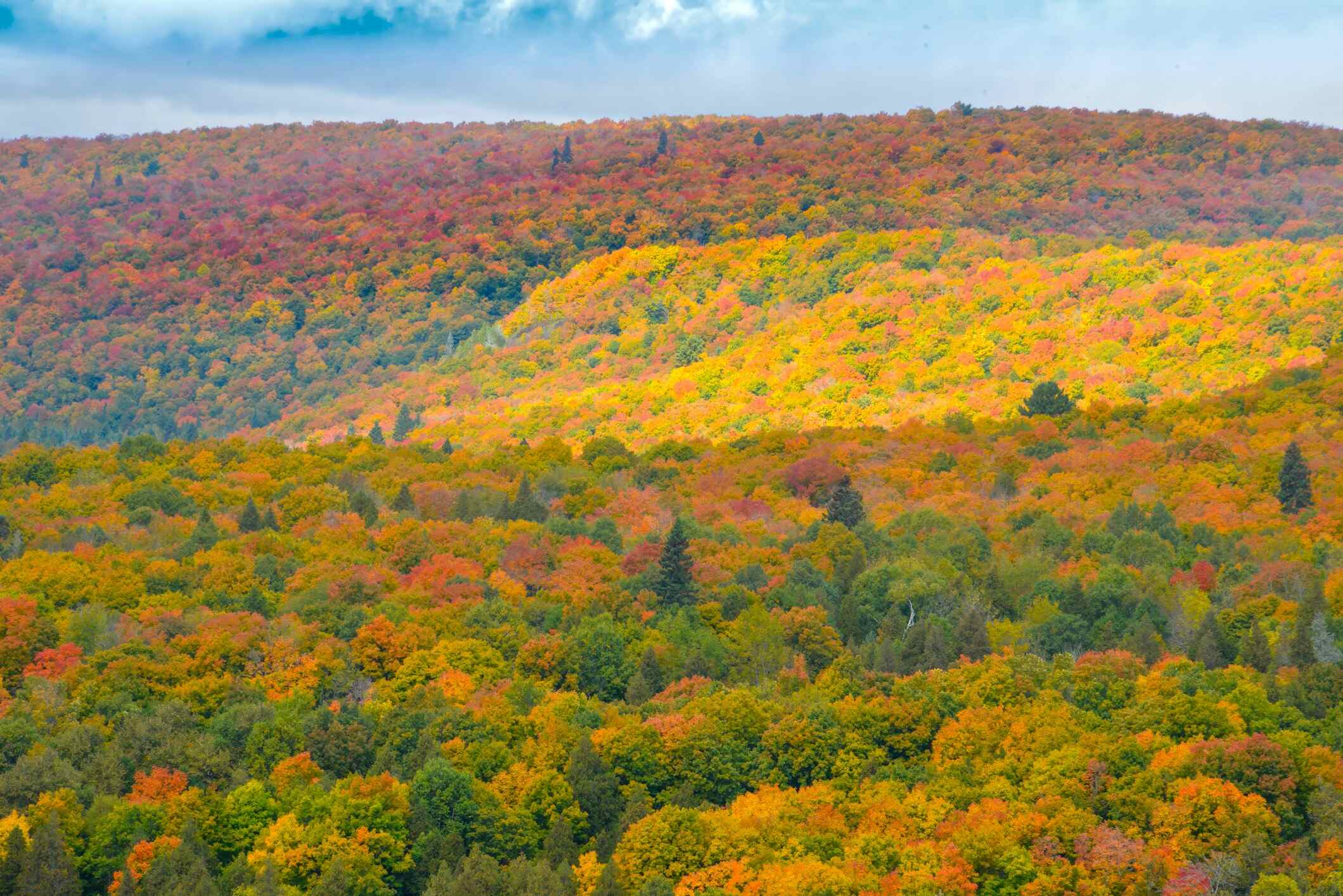 hidden-gems-of-delawares-farmlands