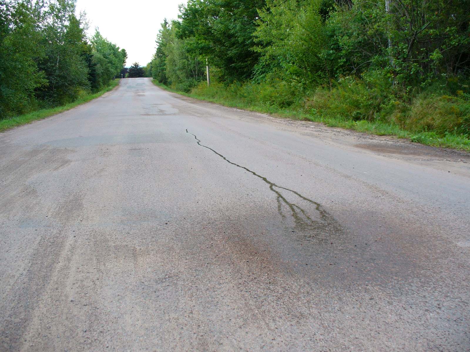 Hidden-Gravity-Hills-And-Magnetic-Anomalies hidden-gravity-hills-and-magnetic-anomalies