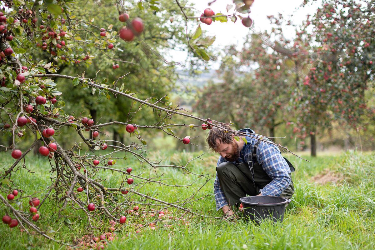 Hidden-Heritage-Secret-Cider-Orchards-Of-New-England hidden-heritage-secret-cider-orchards-of-new-england