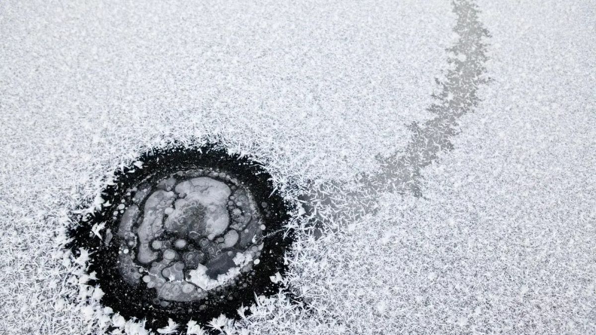 Hidden-Ice-Age-Yedoma-Permafrost-Mysteries-In-Alaska hidden-ice-age-yedoma-permafrost-mysteries-in-alaska