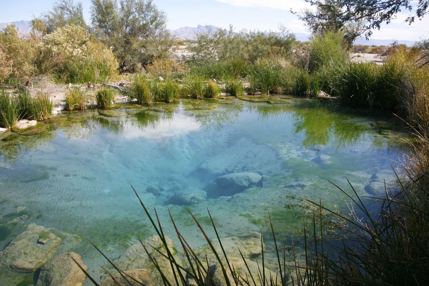 Hidden-Oases-In-The-Mojave-Desert-Secrets hidden-oases-in-the-mojave-desert-secrets