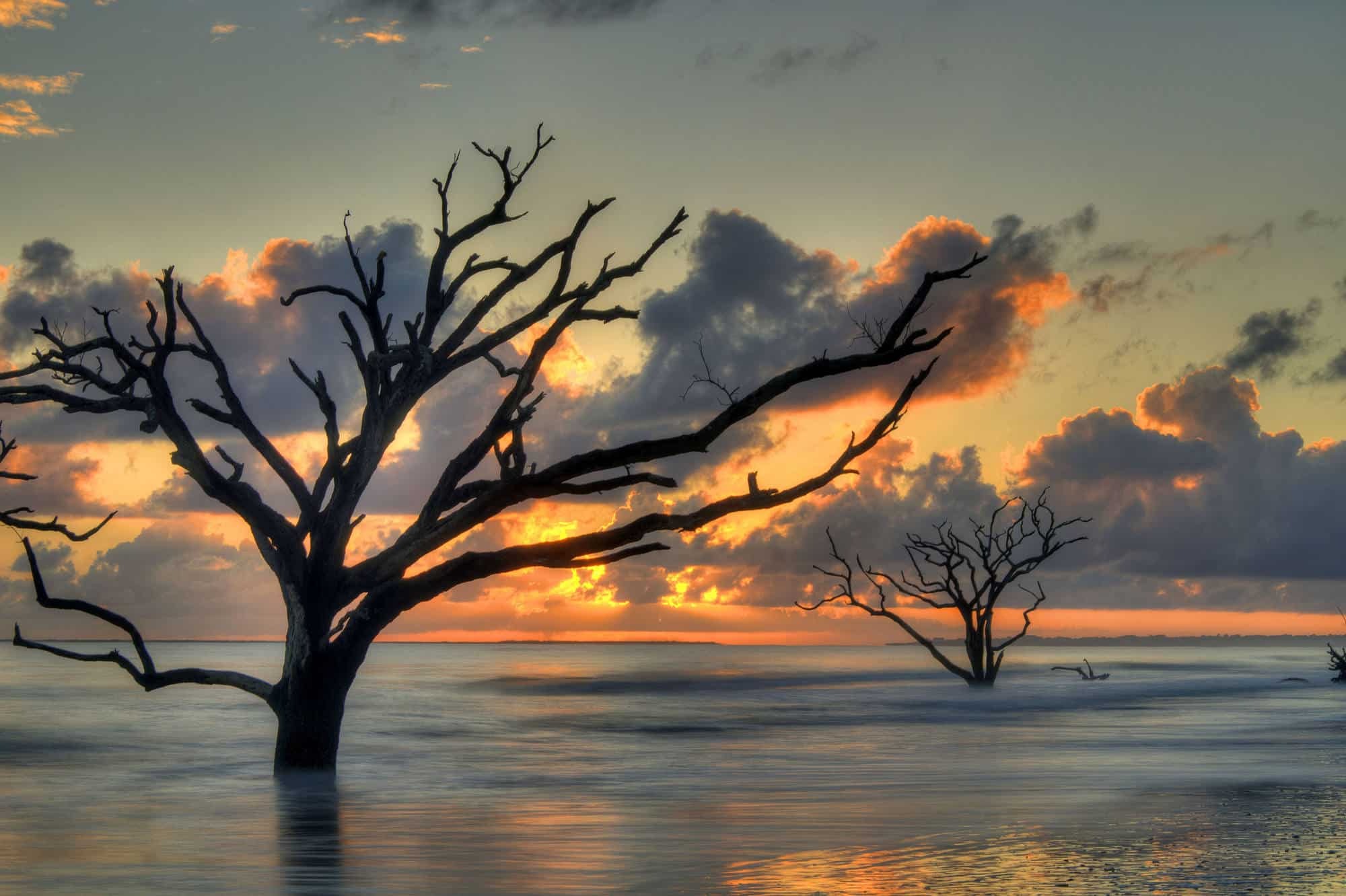 hidden-paradise-botany-bays-pristine-shores