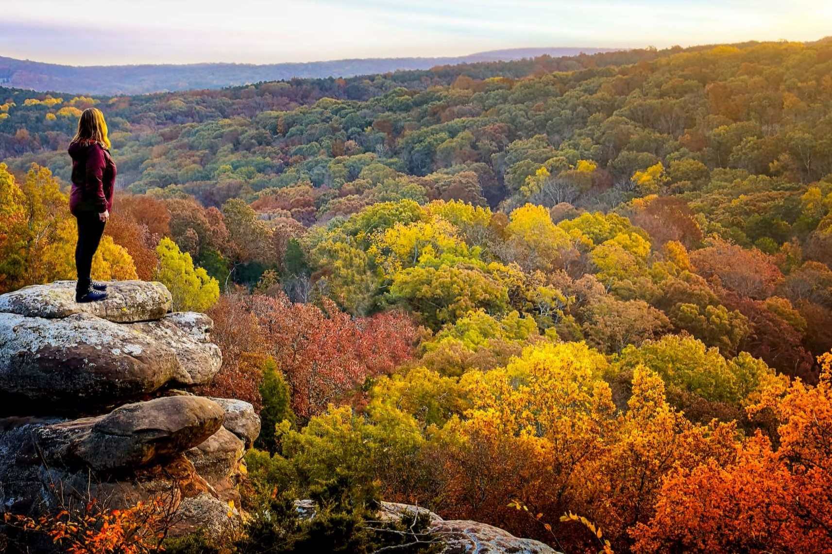 Hidden-Pawpaw-Patches-In-Illinois8217s-Shawnee-National-Forest hidden-pawpaw-patches-in-illinoiss-shawnee-national-forest