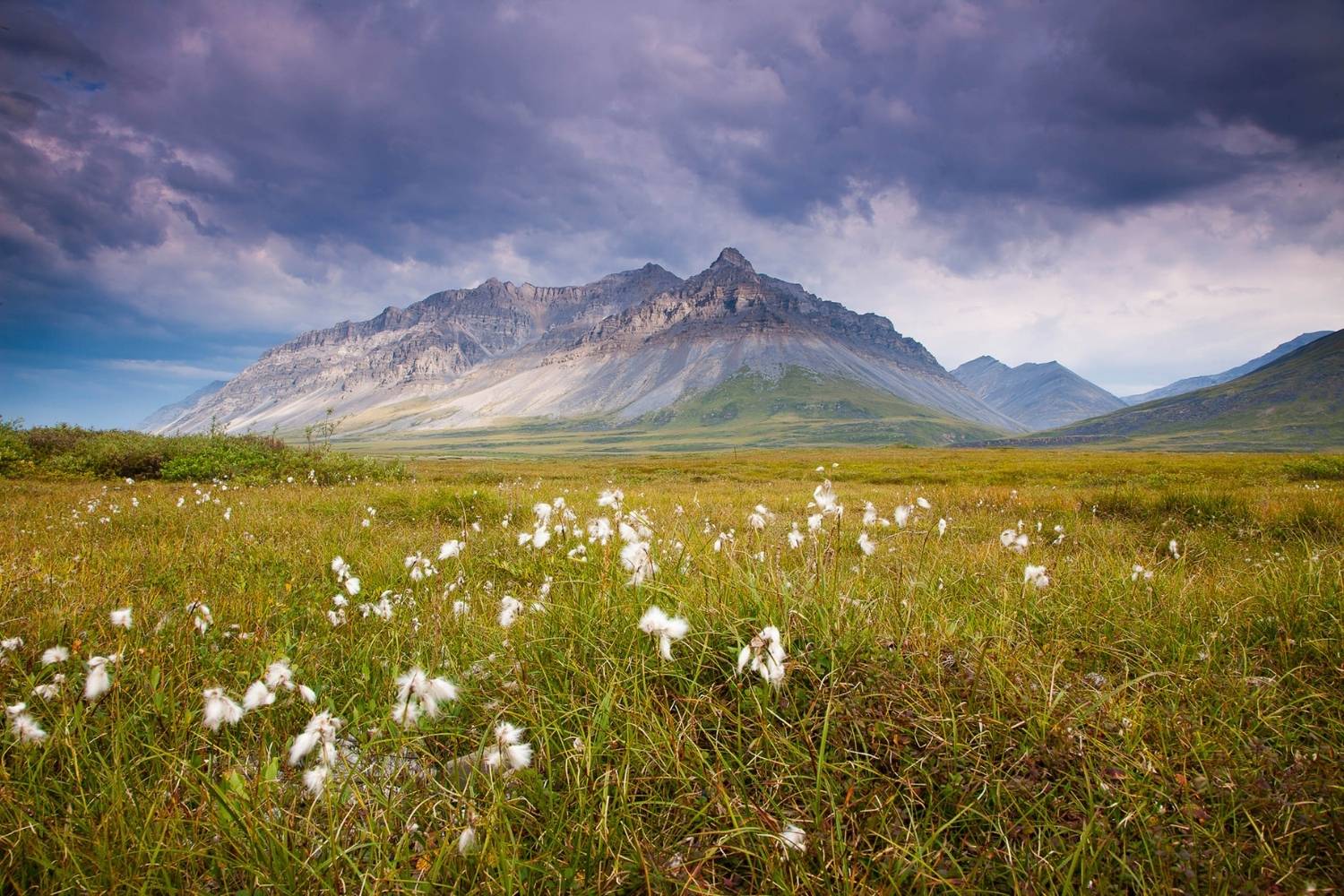 hidden-peaks-of-the-brooks-range