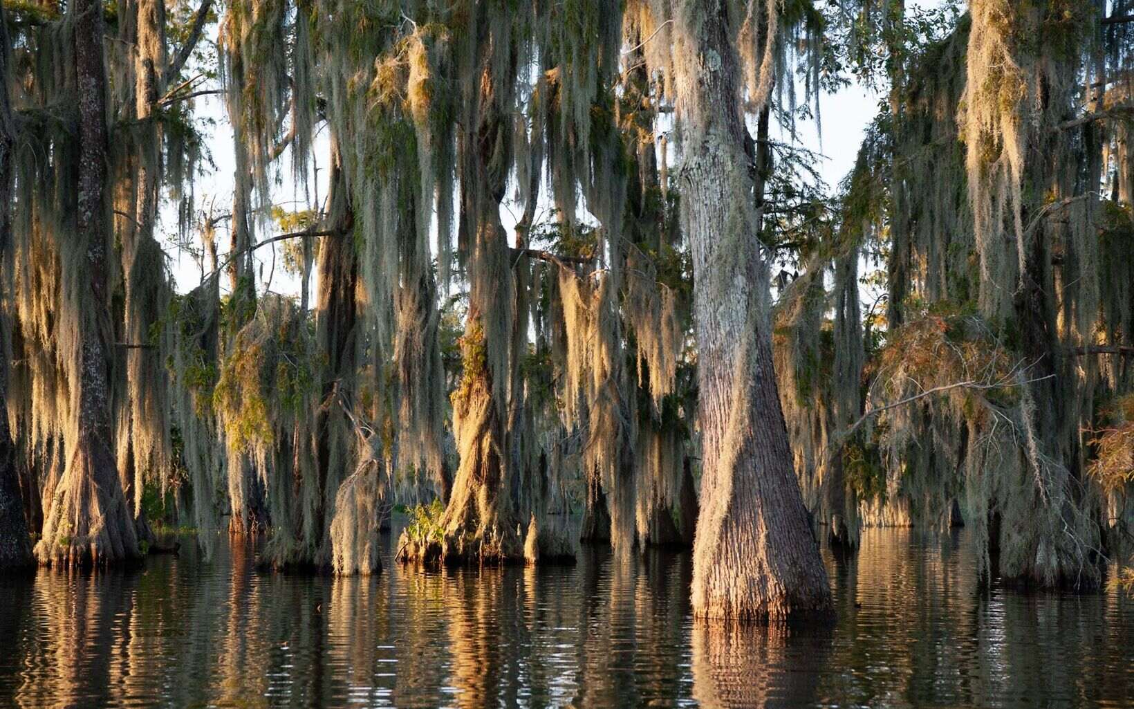 Hidden-River-Ports-Of-Louisiana8217s-Atchafalaya-Basin hidden-river-ports-of-louisianas-atchafalaya-basin