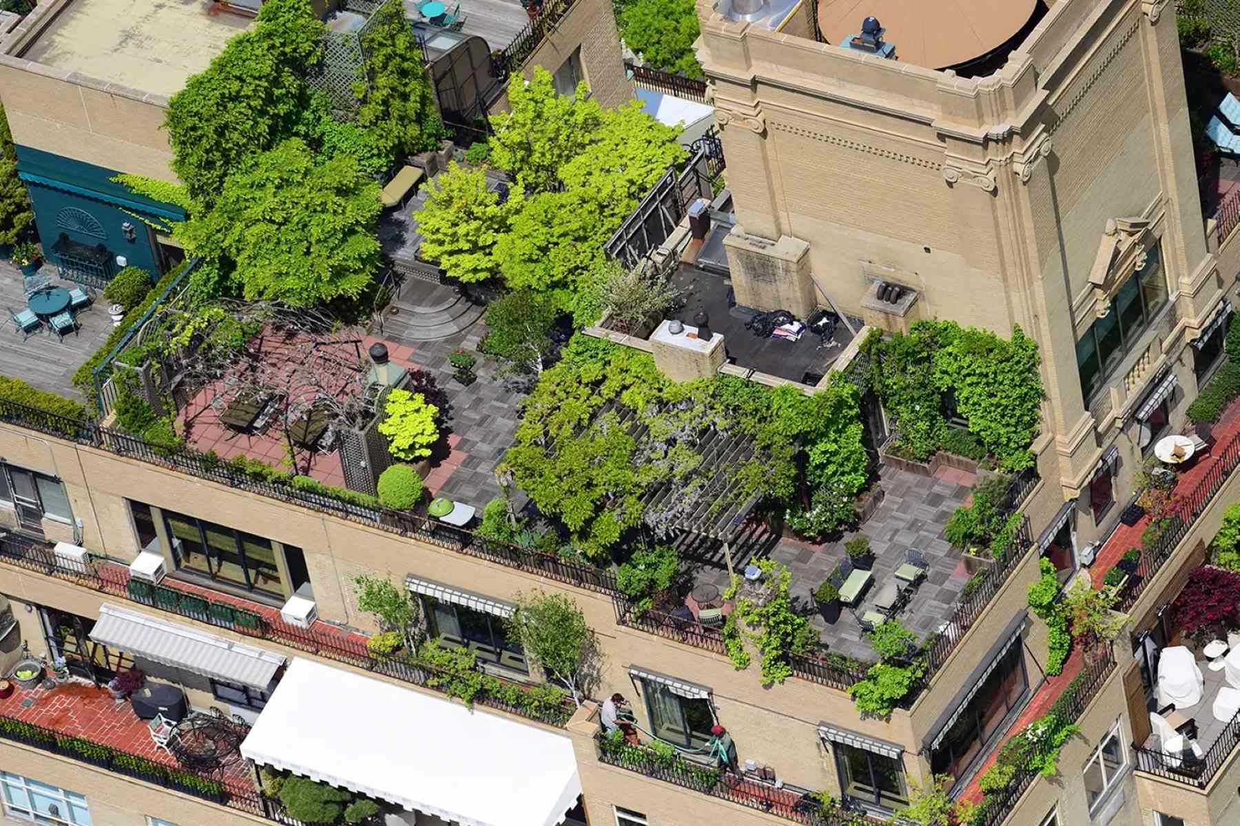 hidden-rooftop-gardens-of-new-york-city