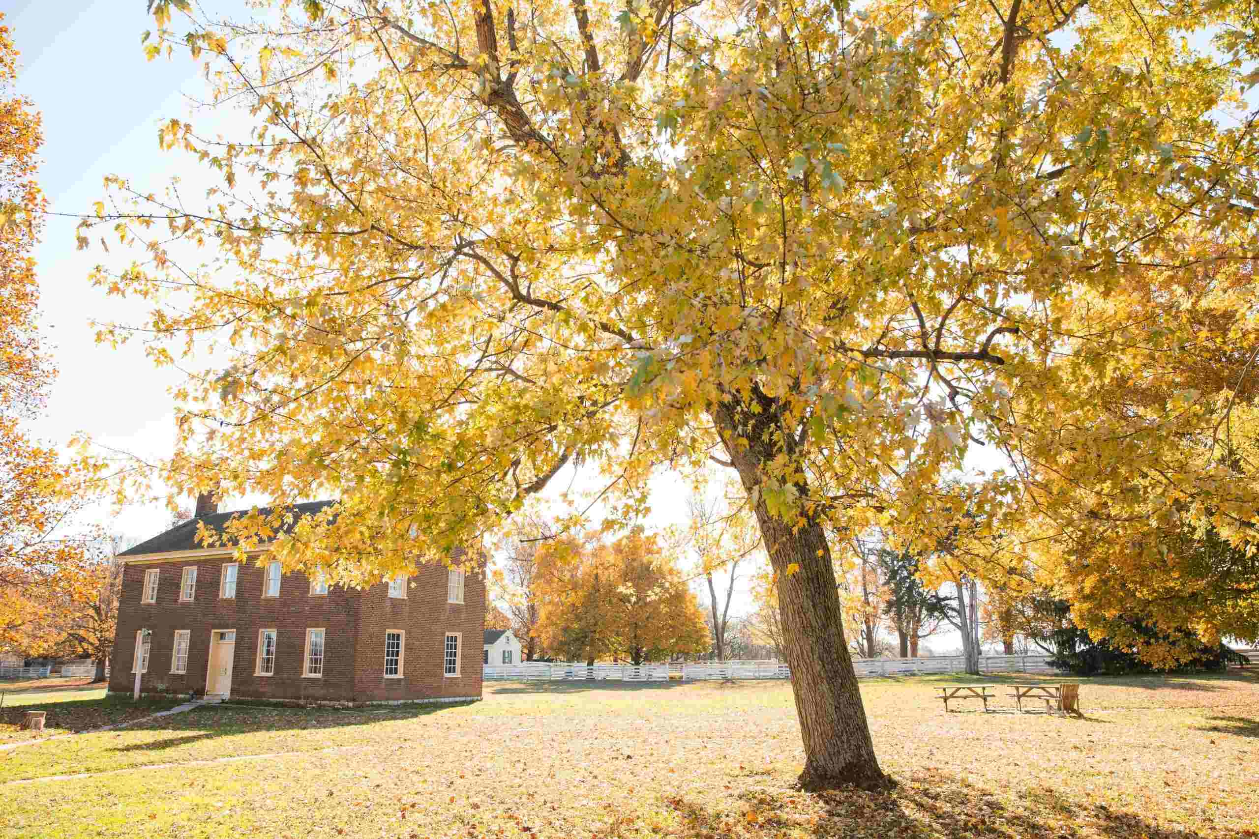 Hidden-Shaker-Communities-Of-Kentucky hidden-shaker-communities-of-kentucky
