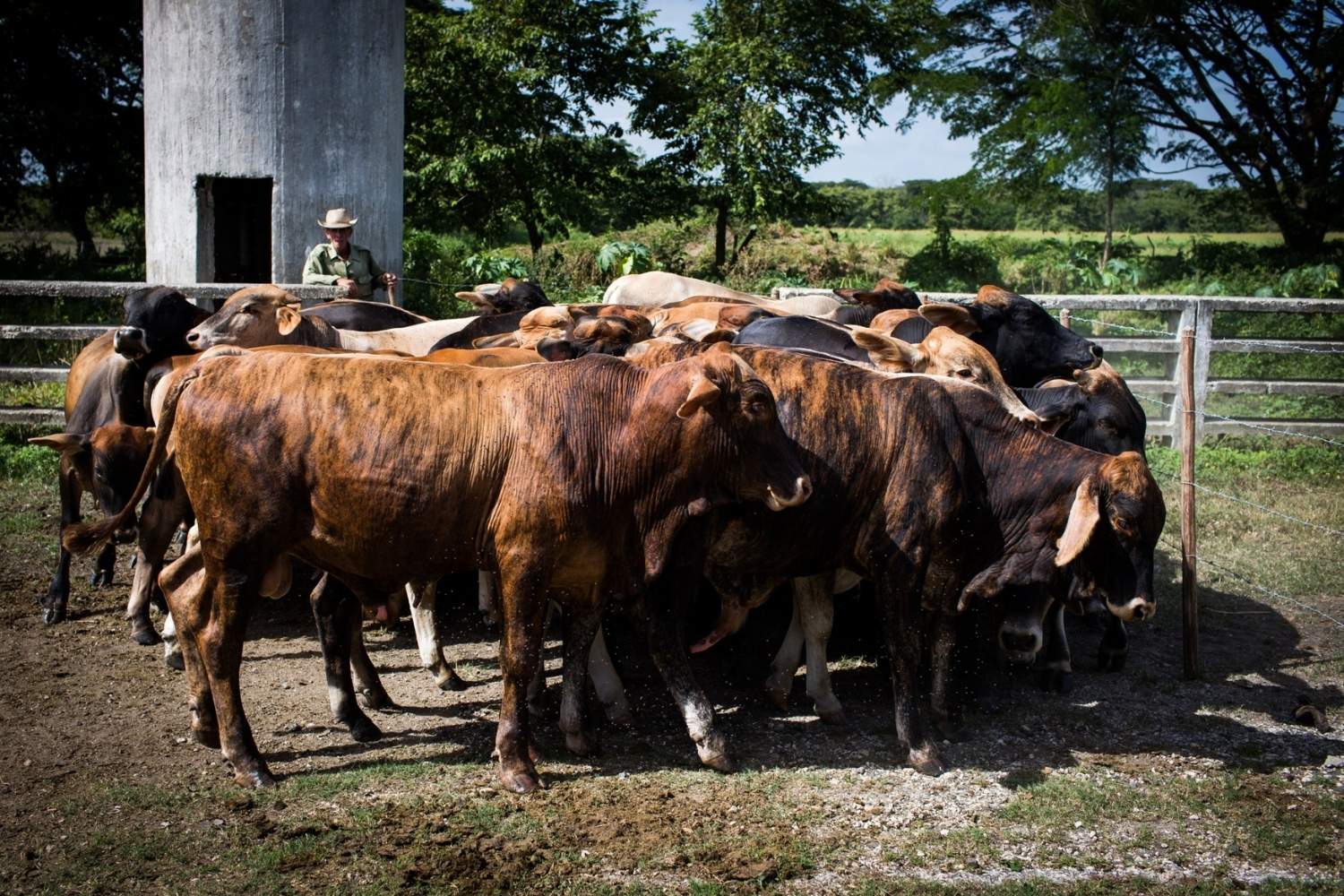 hidden-spanish-land-grant-ranches-of-cuba