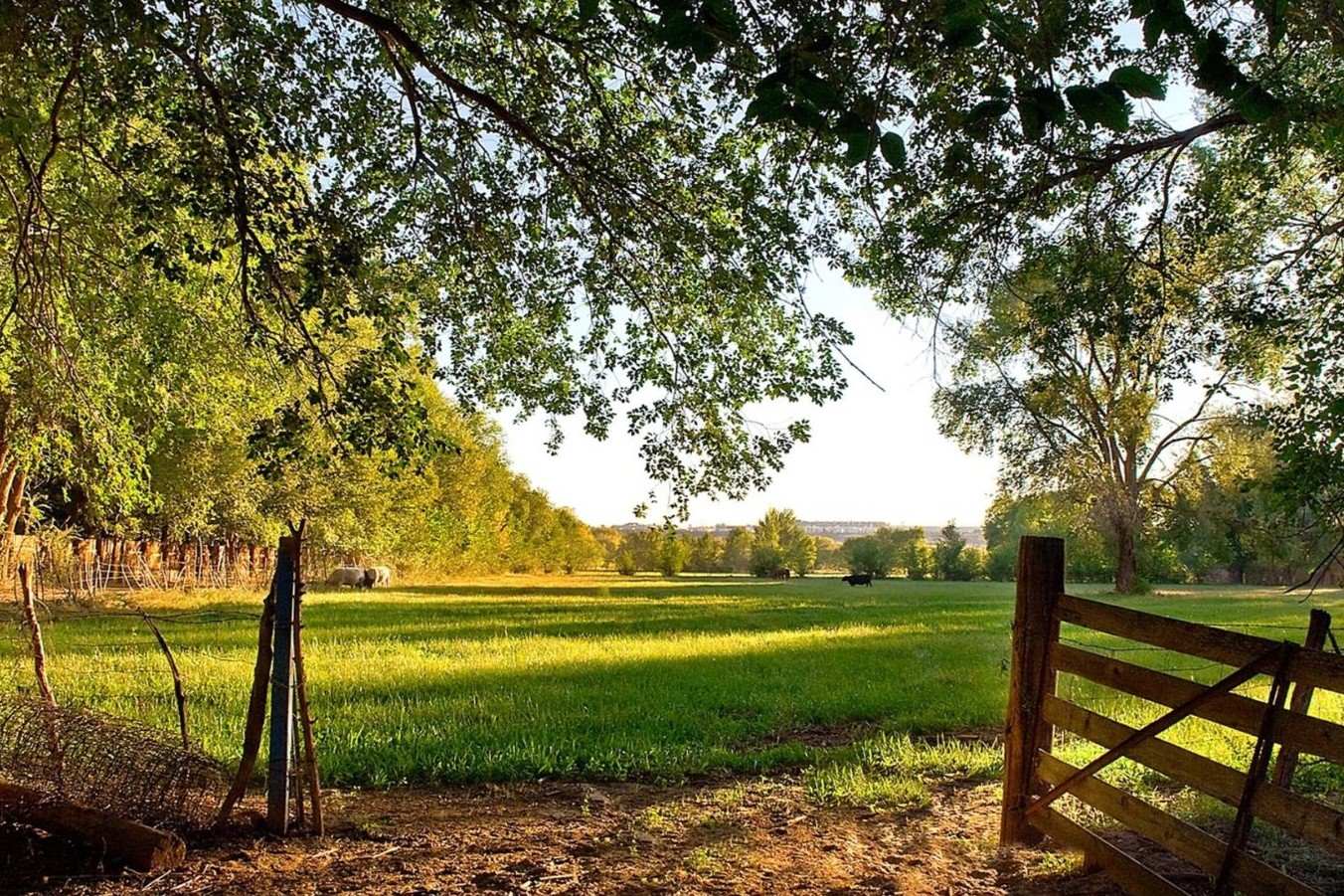 hidden-spanish-land-grant-ranches-of-new-mexico