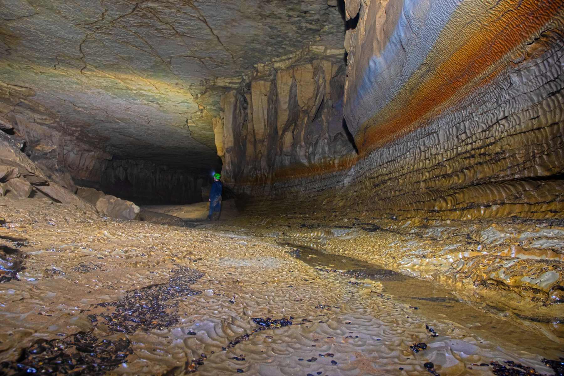 Hidden-Spider-Cave-Networks-Of-Tennessee8217s-Cumberland-Plateau hidden-spider-cave-networks-of-tennessees-cumberland-plateau