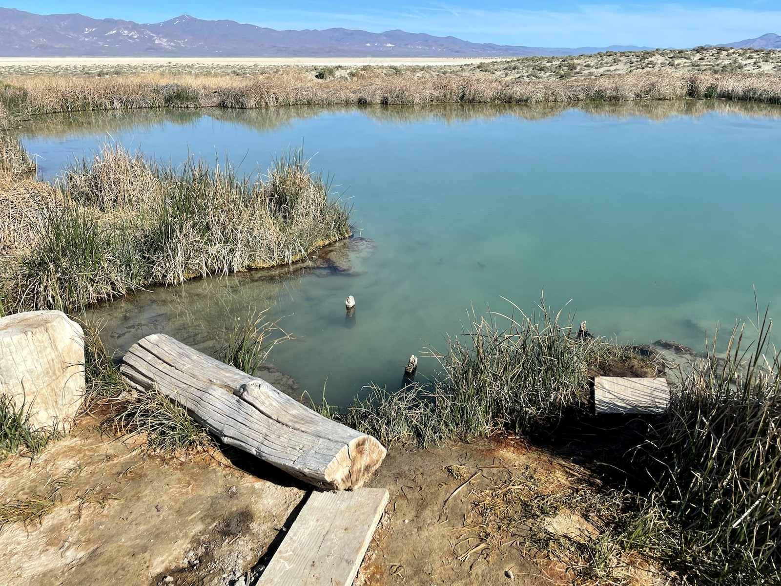 Hidden-Stromatolite-Hot-Springs-In-Nevada8217s-Black-Rock-Desert hidden-stromatolite-hot-springs-in-nevadas-black-rock-desert